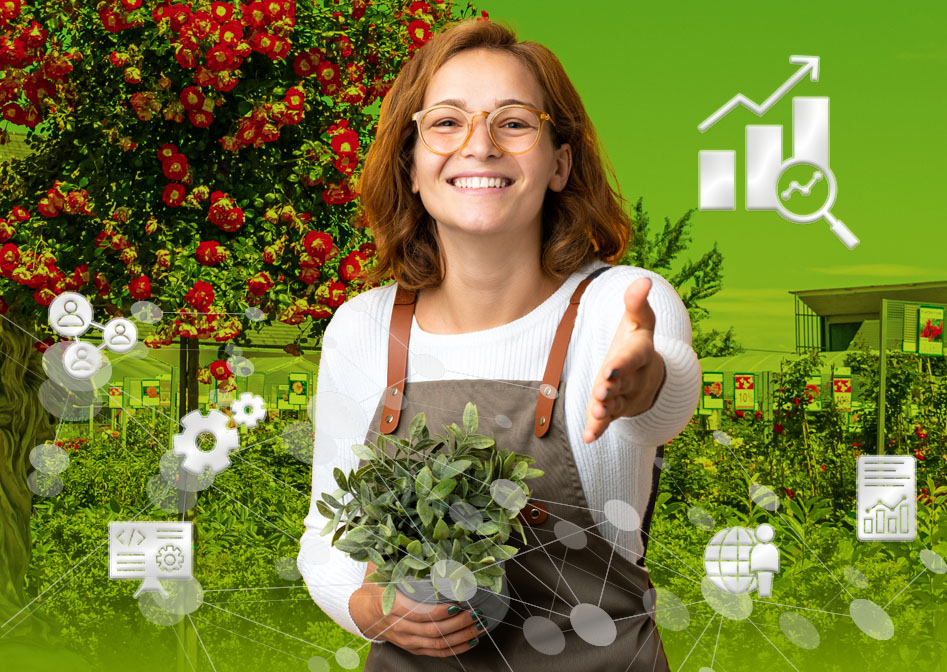 Beschreibung des Bildes